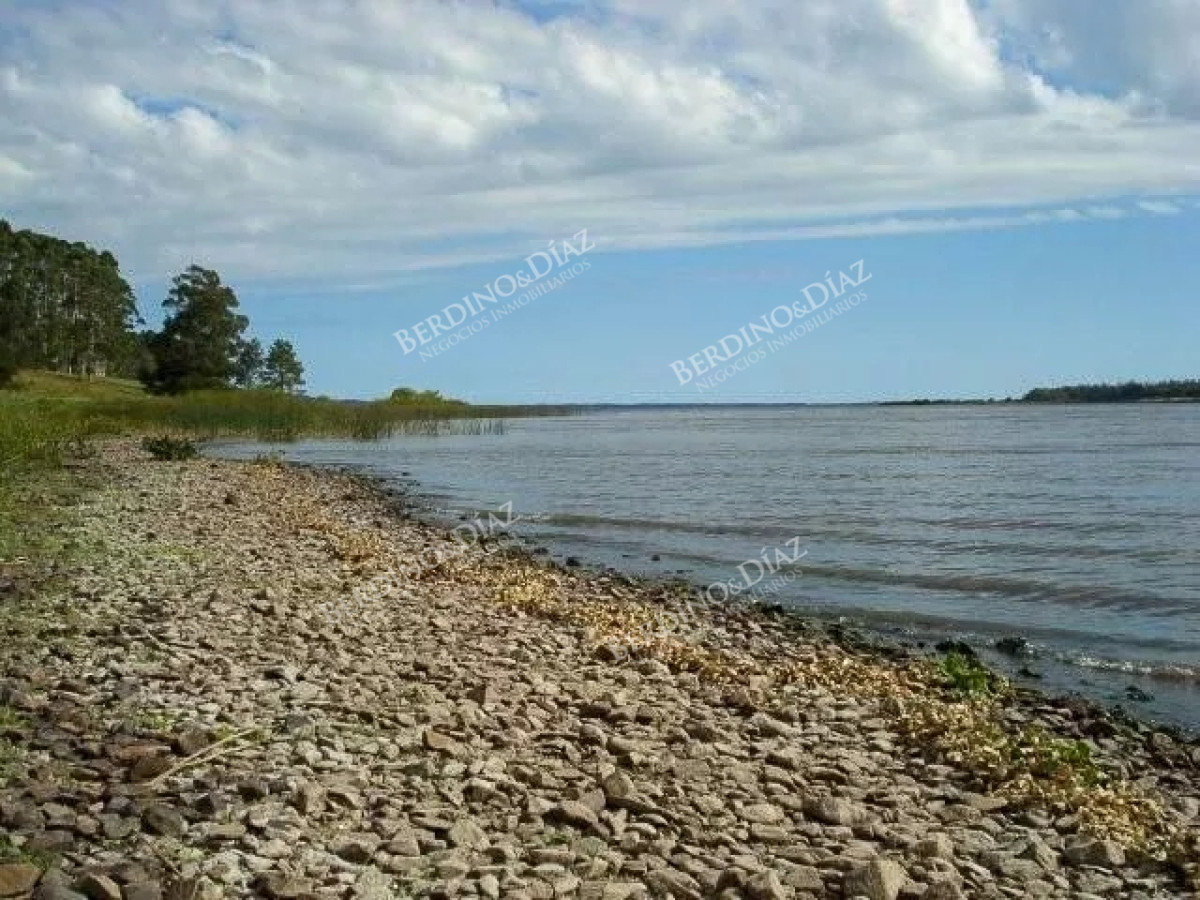 Chacra ID.2338 - Chacra con casa 14 hectareas sobre Laguna del Sauce en venta