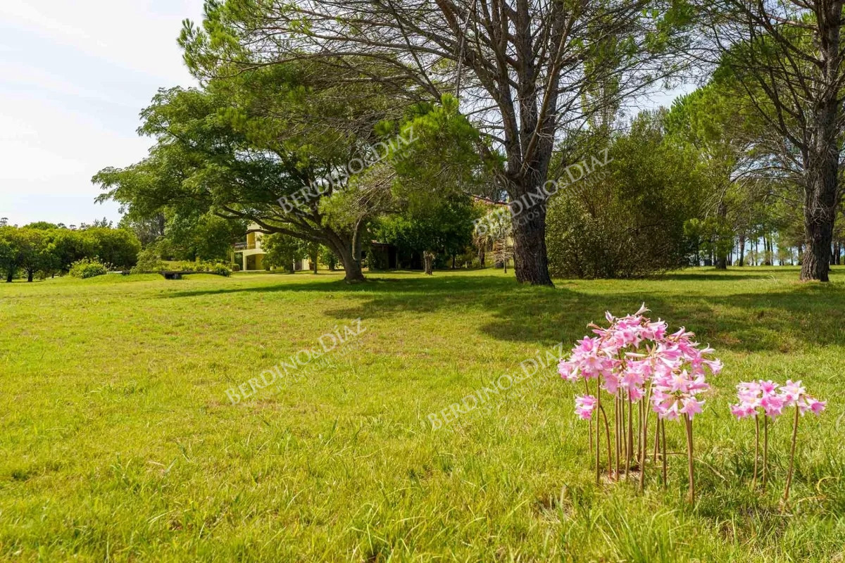 Chacra ID.2308 - Chacra de 5 hectareas en venta Maldonado 