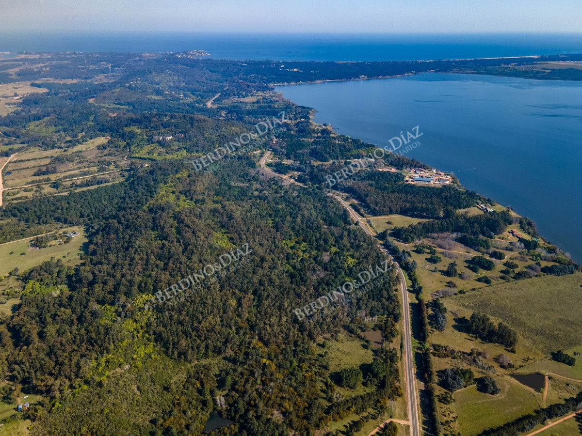 Chacra ID.2373 - Chacra campo 30 hectareas en venta Laguna del Sauce sobre ruta 12
