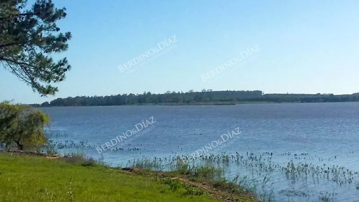 Chacra ID.2338 - Chacra con casa 14 hectareas sobre Laguna del Sauce en venta