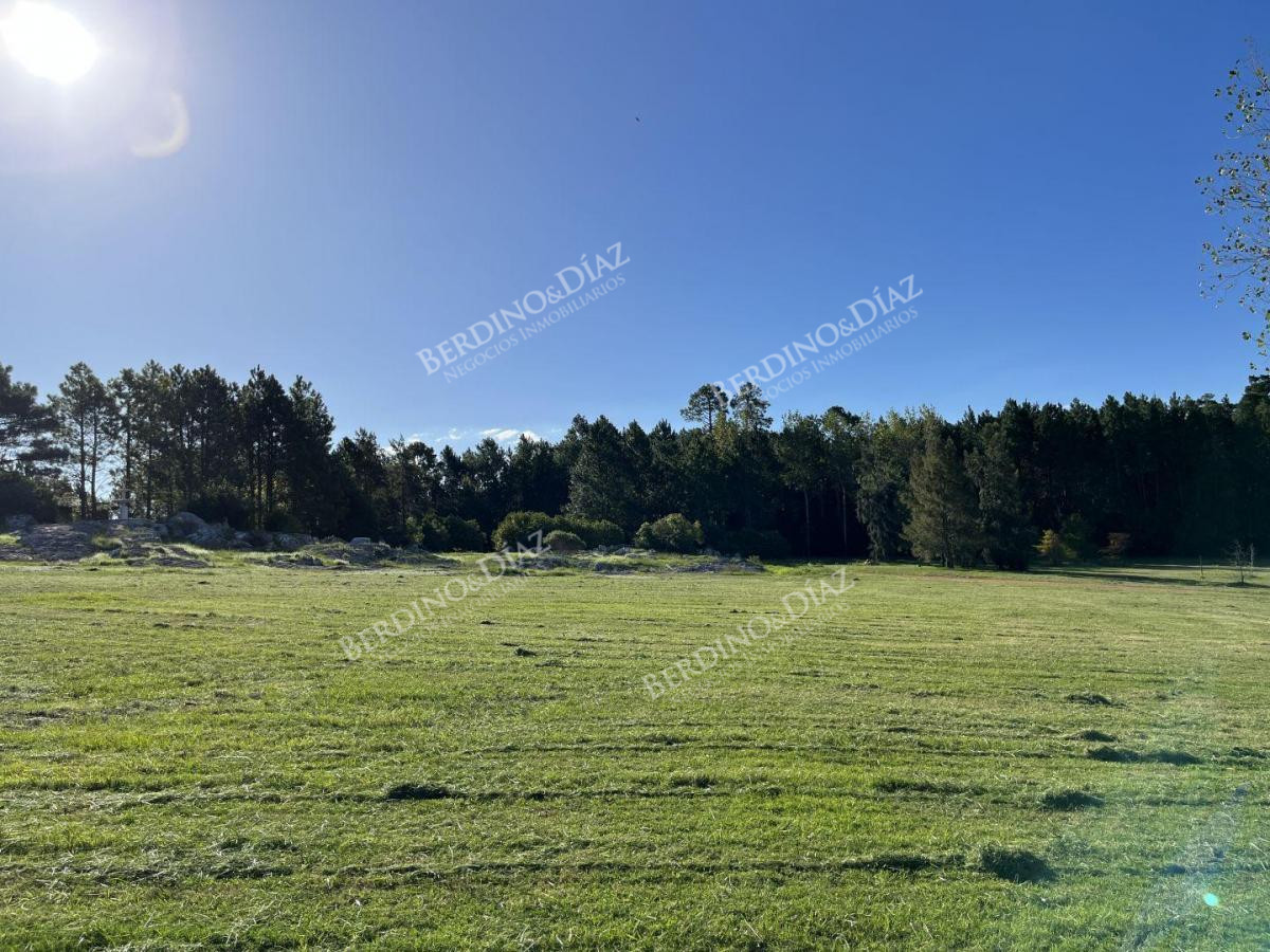 Chacra ID.2332 - Chacra en venta 17 hectareas con casa sobre Laguna del Sauce