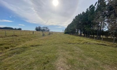 Chacra de 6 hectareas en venta Zona Rural Jose Ignacio