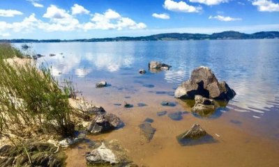 Chacra en venta 146 Hectareas Laguna del Sauce