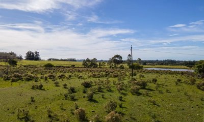 Chacra en venta La Barra 8 hectareas sobre ruta 104