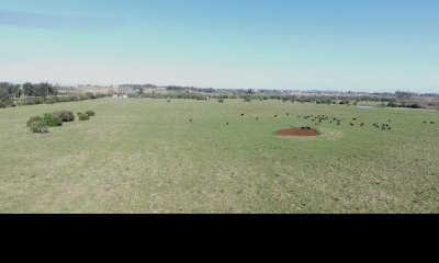 Campo de 32 has con aptitud para Cantera de Arena a 1 minuto de San Carlos