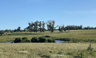 Chacra campo en venta de 24 hectareas Ruta 104 La Barra