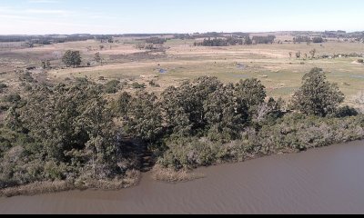Chacra campo en venta Camino Eguzquiza 132 Hectareas