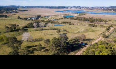 Chacra en venta 38 hectareas Laguna del Diario Punta del Este