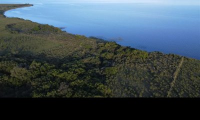 Chacra en venta de 5 hectareas sobre La Laguna del Sauce