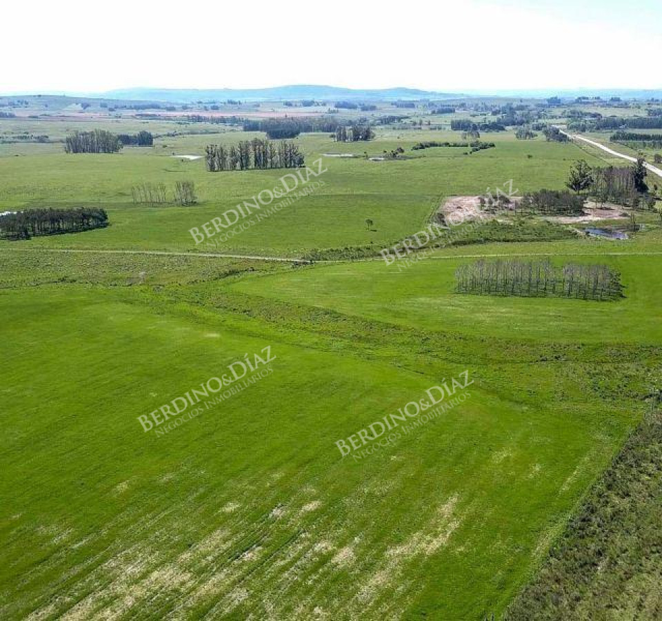 Campo Ref.2306 - CAMPO PARA FRACCIONAMIENTO PUNTA BALLENA RUTA 12