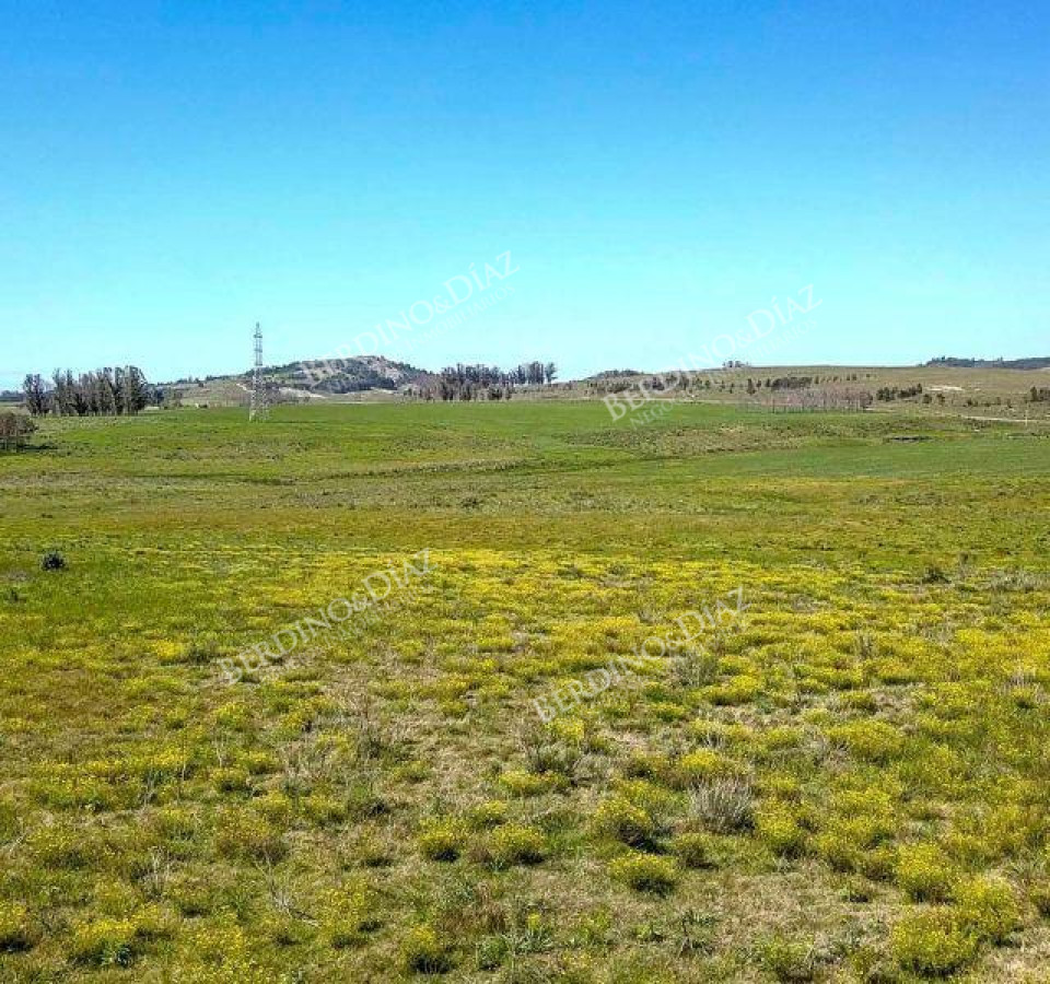 Campo Ref.2306 - CAMPO PARA FRACCIONAMIENTO PUNTA BALLENA RUTA 12