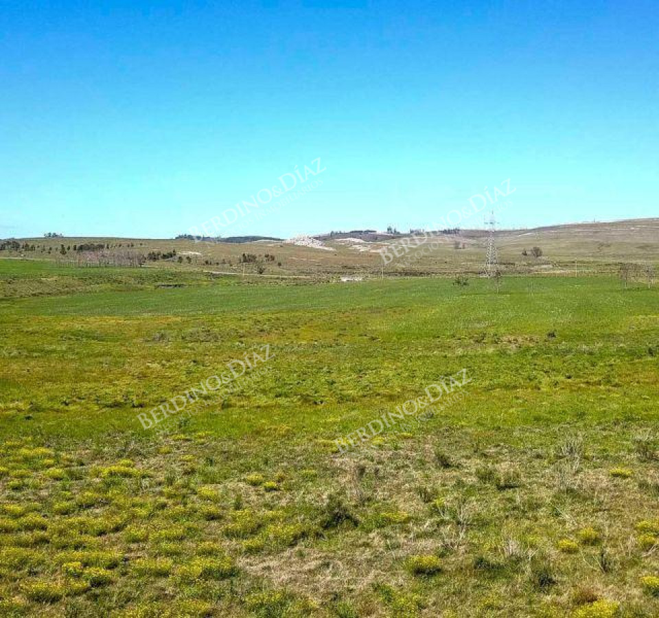 Campo Ref.2306 - CAMPO PARA FRACCIONAMIENTO PUNTA BALLENA RUTA 12