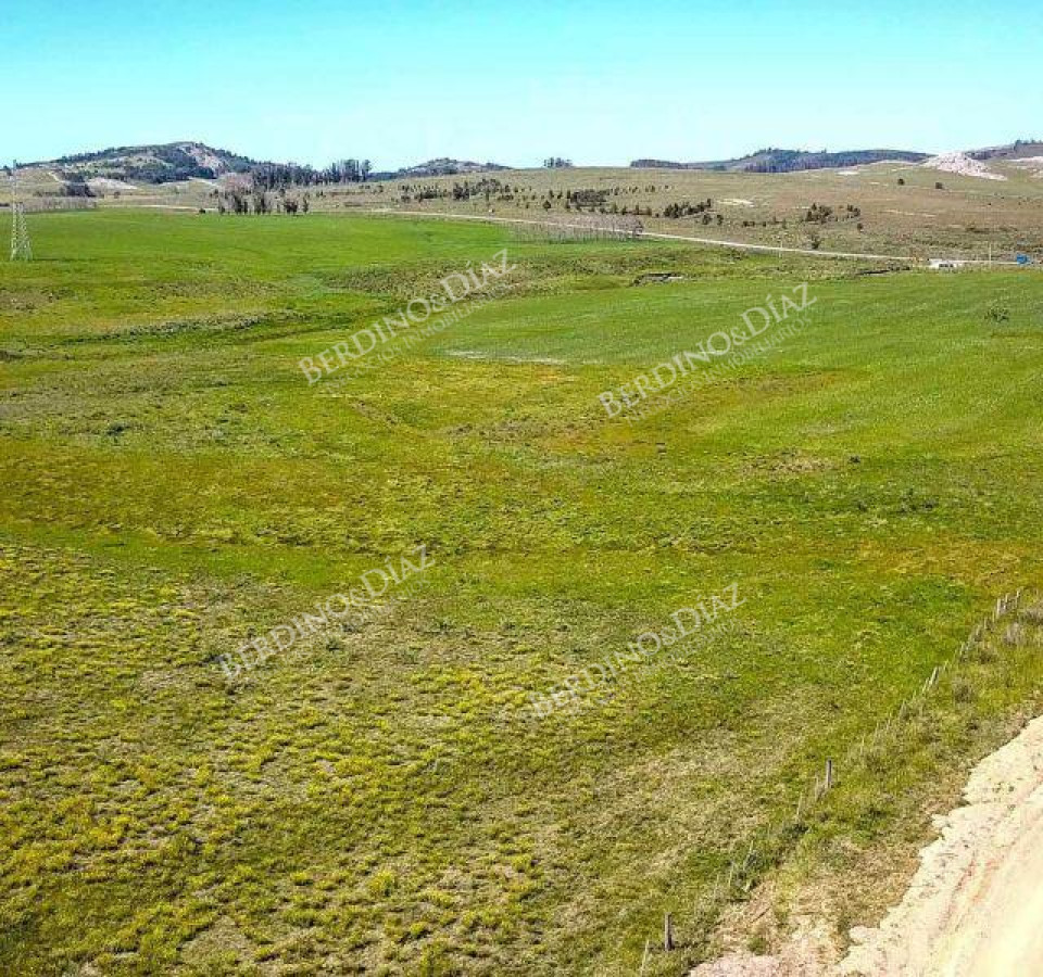 Campo Ref.2306 - CAMPO PARA FRACCIONAMIENTO PUNTA BALLENA RUTA 12