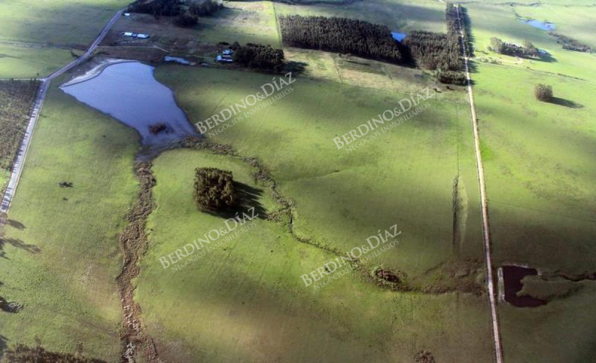 Campo Ref.2253 - Campo agricola turistico en venta en La Barra