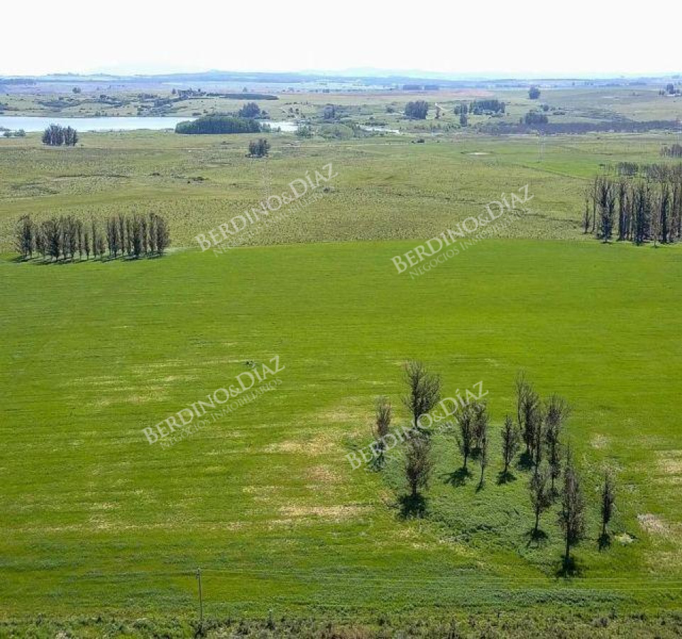 Campo Ref.2306 - CAMPO PARA FRACCIONAMIENTO PUNTA BALLENA RUTA 12