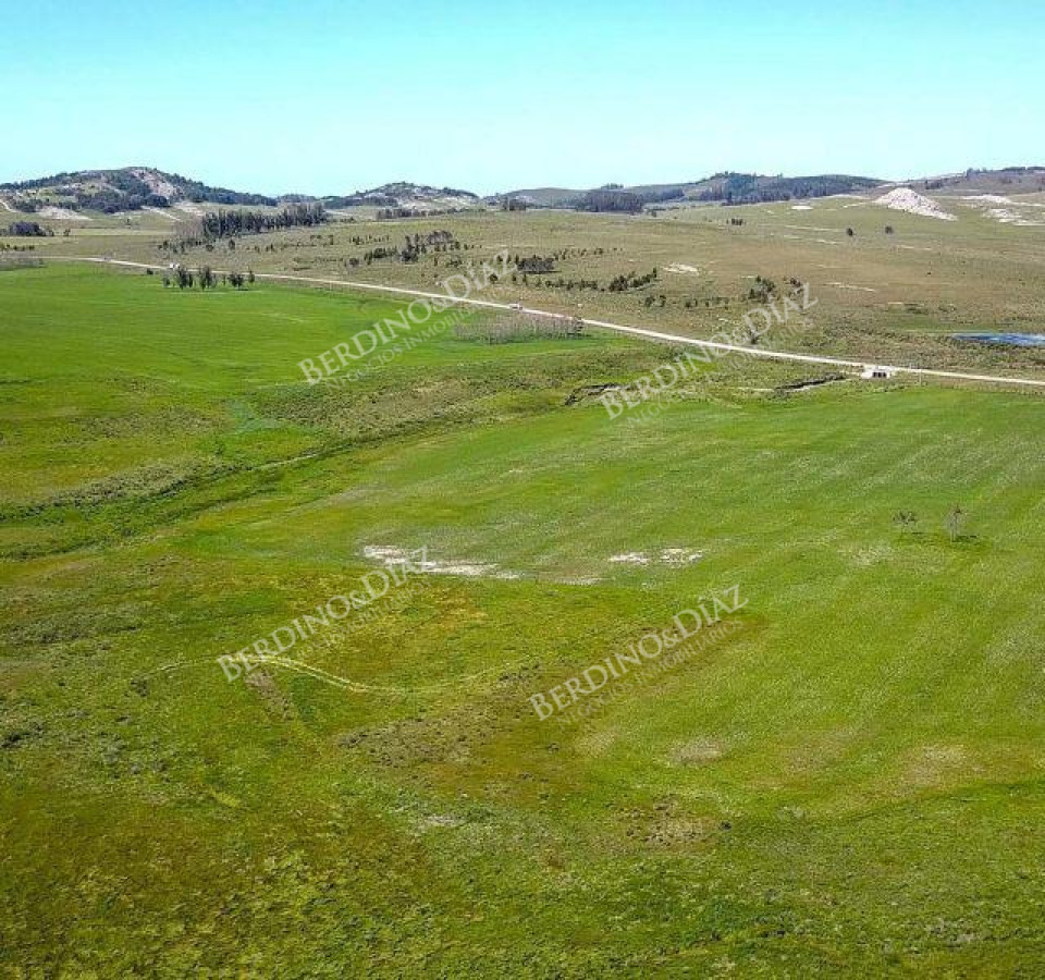 Campo Ref.2306 - CAMPO PARA FRACCIONAMIENTO PUNTA BALLENA RUTA 12