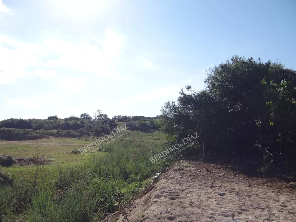 Terreno ID.2287 - Lote chacra de 5 hectareas en medellin jose ignacio con vista a la laguna