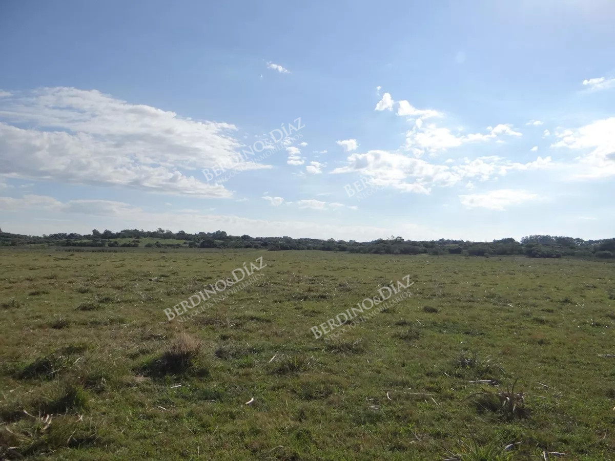 Terreno ID.2287 - Lote chacra de 5 hectareas en medellin jose ignacio con vista a la laguna
