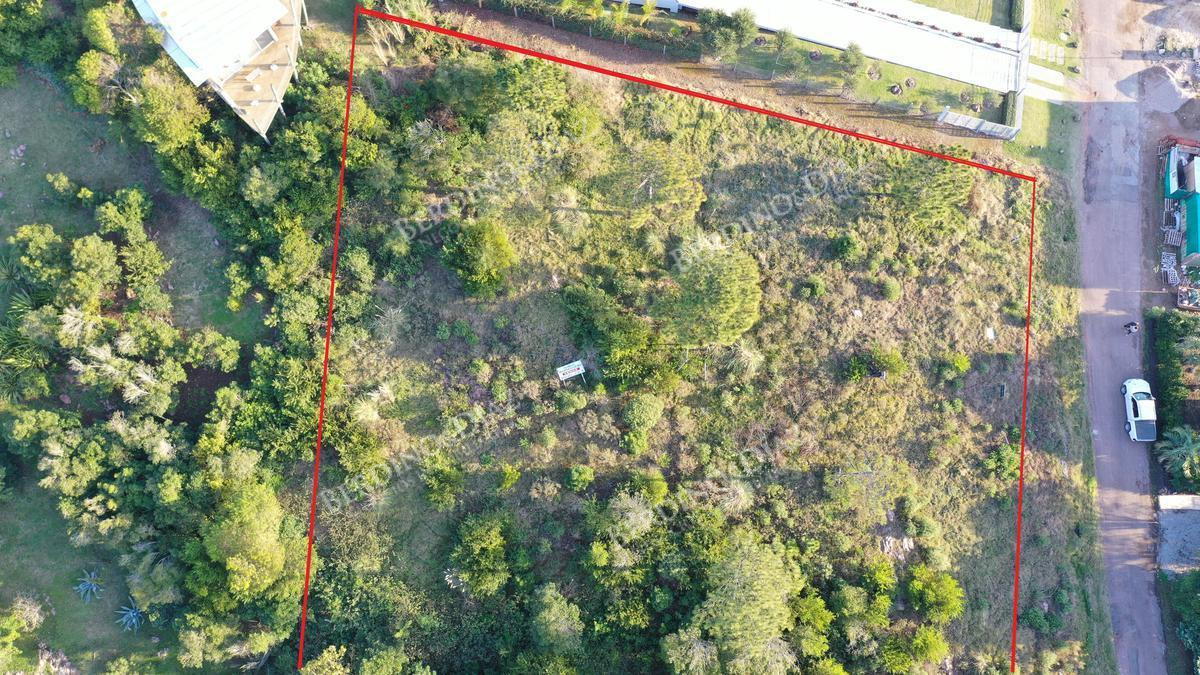 Terreno ID.2246 - Lote ideal para desarrollo Lomo Punta Ballena vista al mar