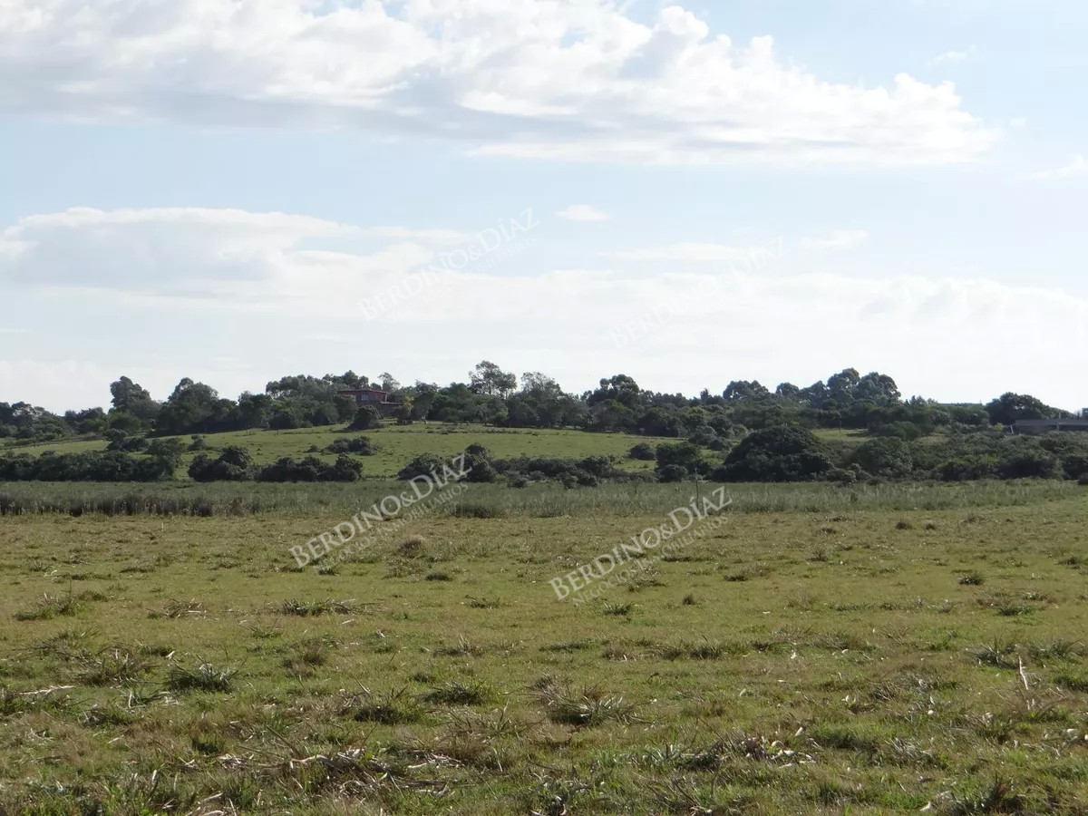 Terreno ID.2287 - Lote chacra de 5 hectareas en medellin jose ignacio con vista a la laguna