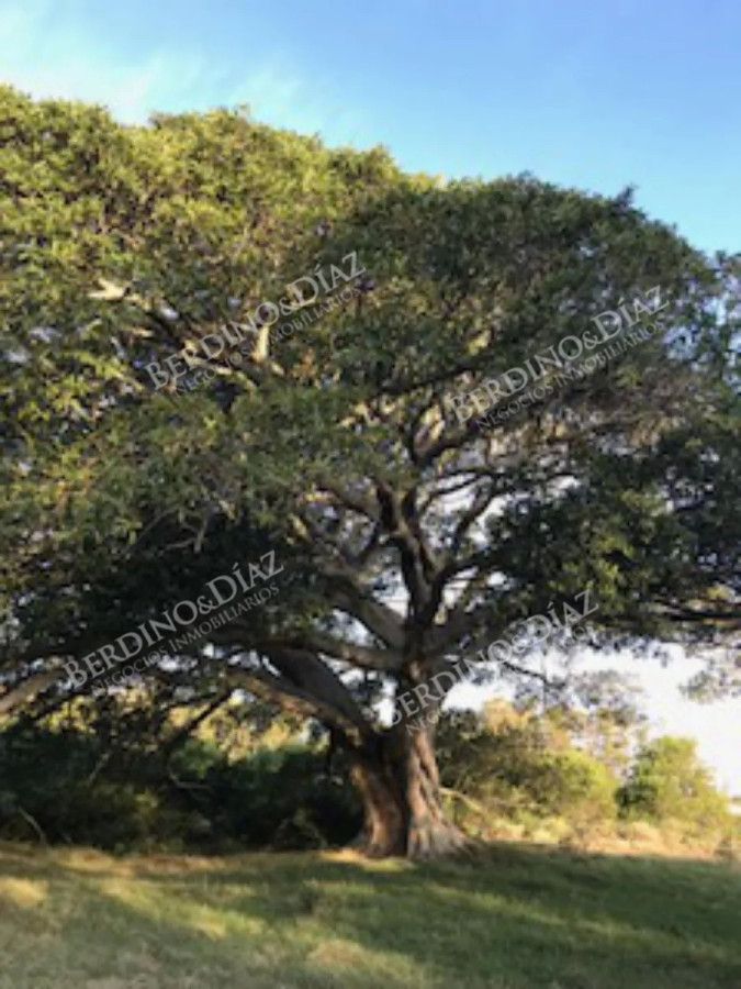 Terreno ID.2287 - Lote chacra de 5 hectareas en medellin jose ignacio con vista a la laguna