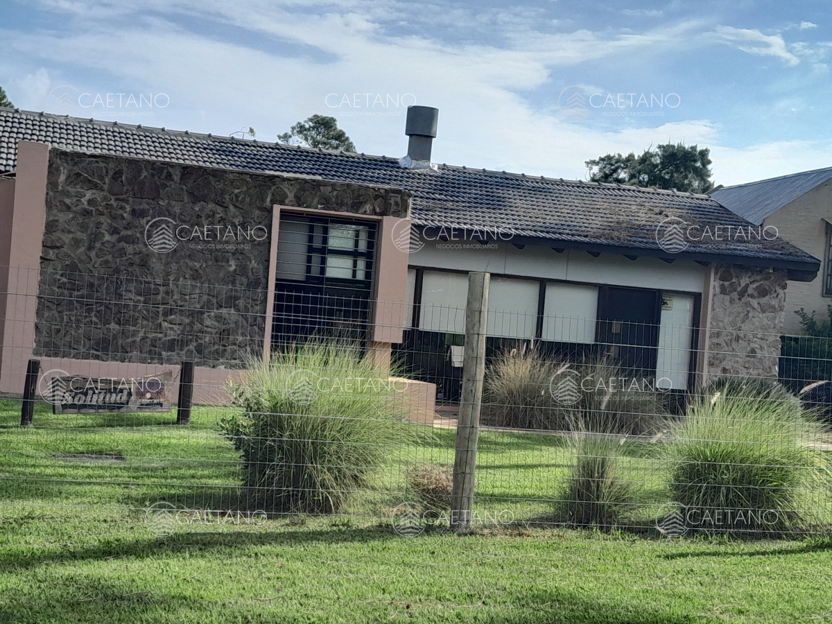 Tio Tom - GoPunta - Portal Inmobiliario de Punta del Este - Maldonado