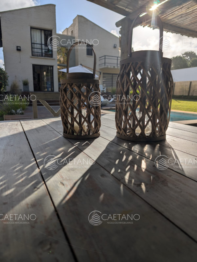 Chihuahua - GoPunta - Portal Inmobiliario de Punta del Este - Maldonado