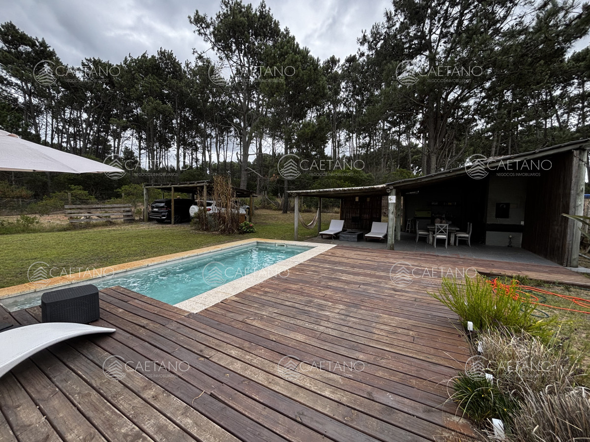 Chihuahua - GoPunta - Portal Inmobiliario de Punta del Este - Maldonado