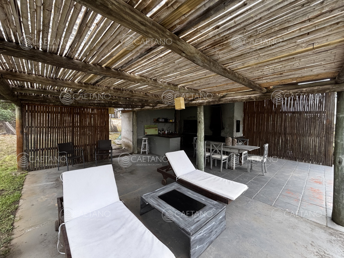 Chihuahua - GoPunta - Portal Inmobiliario de Punta del Este - Maldonado