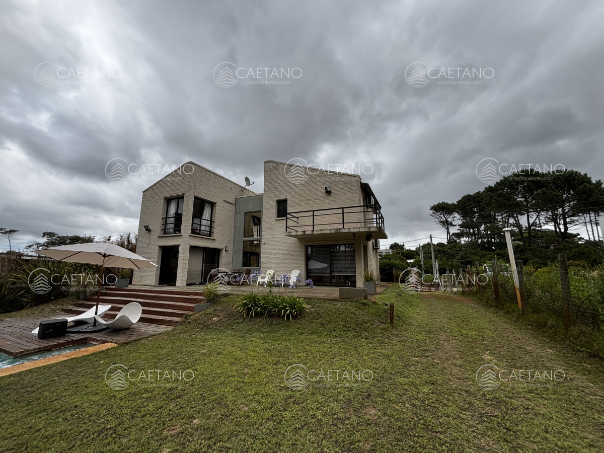 Chihuahua - GoPunta - Portal Inmobiliario de Punta del Este - Maldonado