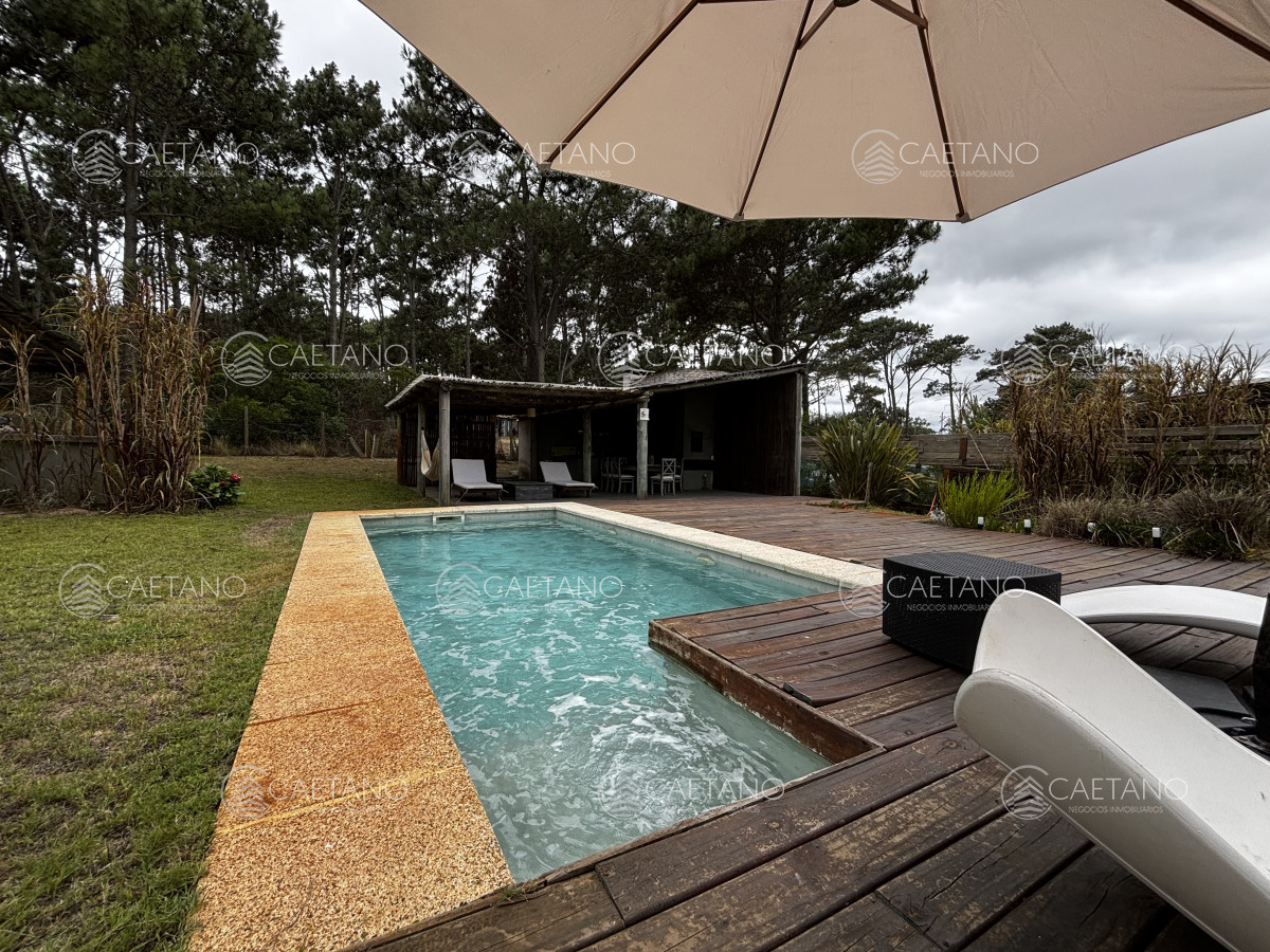 Chihuahua - GoPunta - Portal Inmobiliario de Punta del Este - Maldonado