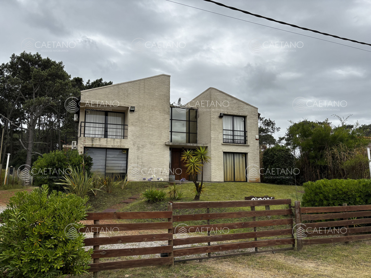 Chihuahua - GoPunta - Portal Inmobiliario de Punta del Este - Maldonado