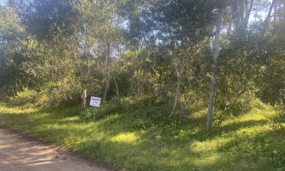 Venta terreno en Tio Tom. Punta ballena.