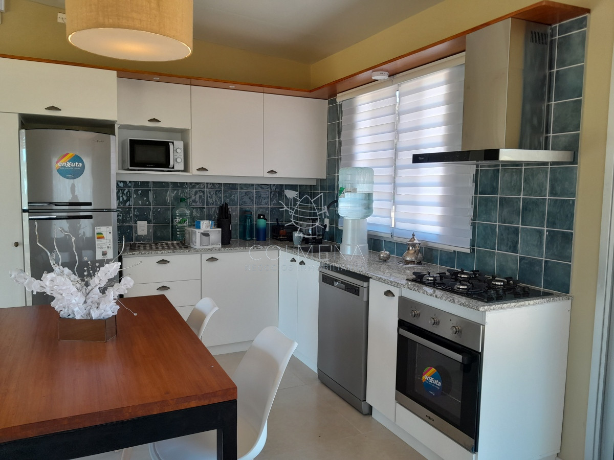 Chihuahua - GoPunta - Portal Inmobiliario de Punta del Este - Maldonado