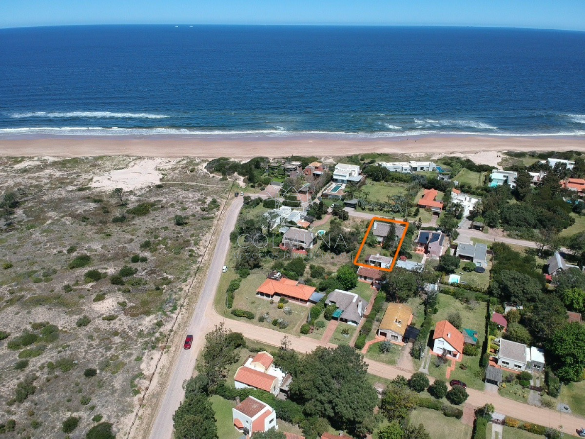 Tio Tom - GoPunta - Portal Inmobiliario de Punta del Este - Maldonado