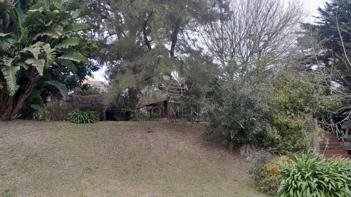 Tio Tom - GoPunta - Portal Inmobiliario de Punta del Este - Maldonado