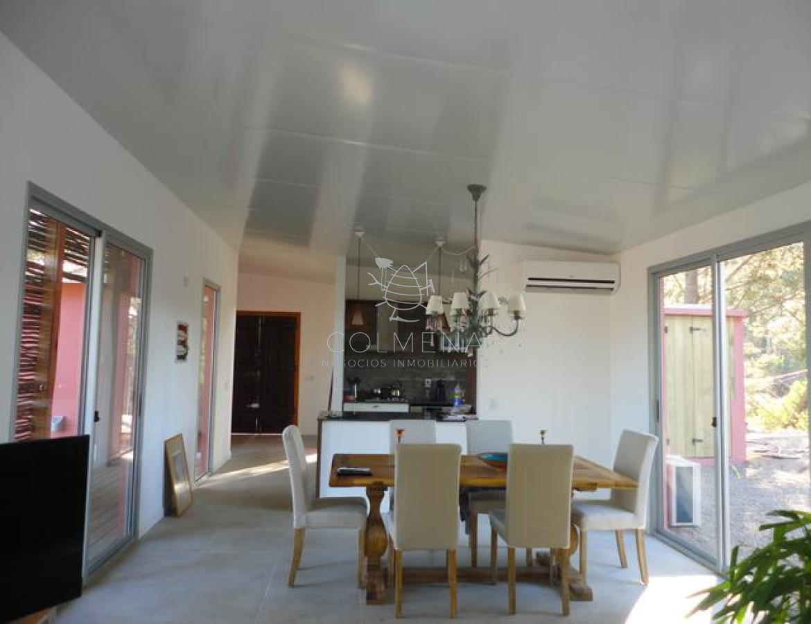 Chihuahua - GoPunta - Portal Inmobiliario de Punta del Este - Maldonado