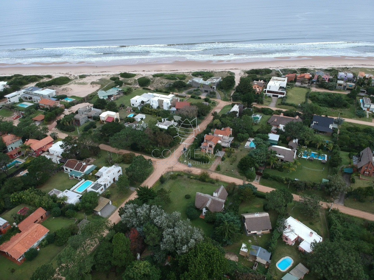 Tio Tom - GoPunta - Portal Inmobiliario de Punta del Este - Maldonado