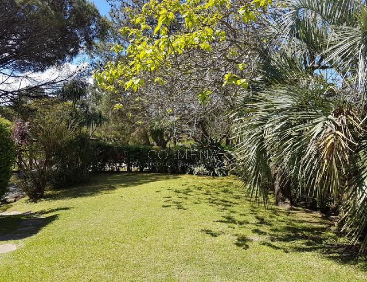 Tio Tom - GoPunta - Portal Inmobiliario de Punta del Este - Maldonado