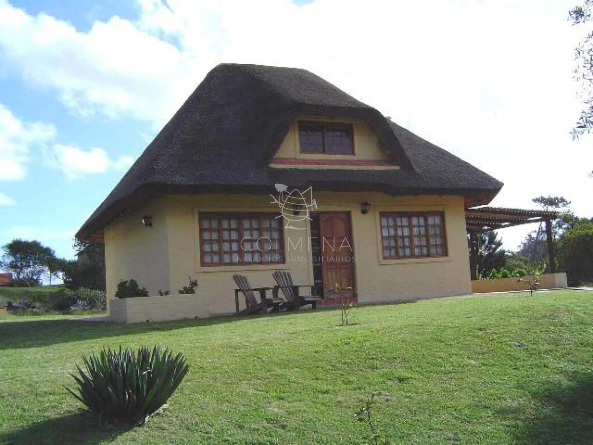 Tio Tom - GoPunta - Portal Inmobiliario de Punta del Este - Maldonado