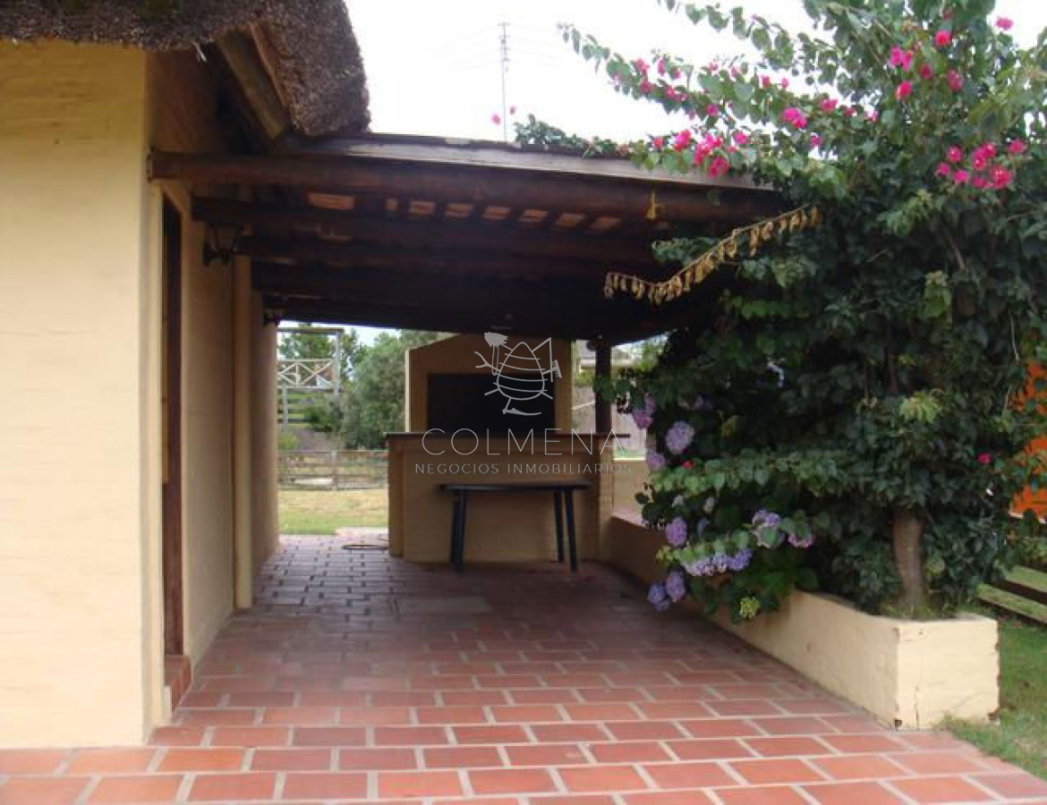 Tio Tom - GoPunta - Portal Inmobiliario de Punta del Este - Maldonado
