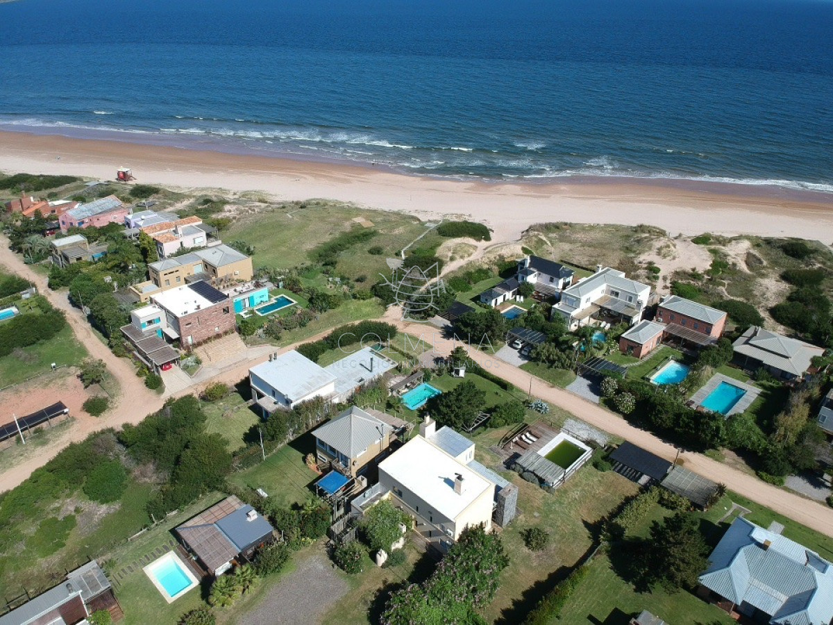 Tio Tom - GoPunta - Portal Inmobiliario de Punta del Este - Maldonado