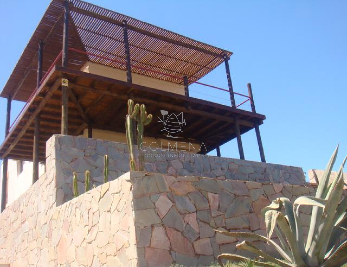 Tio Tom - GoPunta - Portal Inmobiliario de Punta del Este - Maldonado