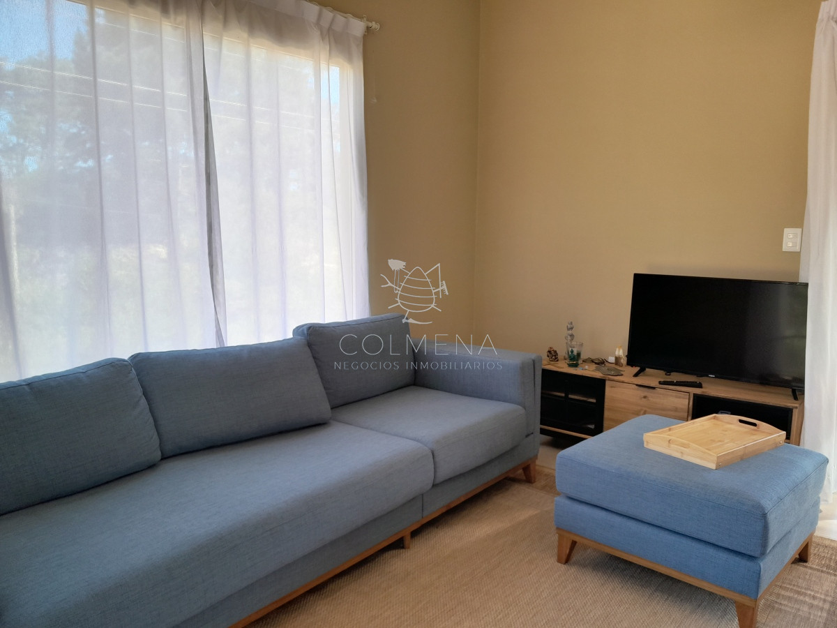 Chihuahua - GoPunta - Portal Inmobiliario de Punta del Este - Maldonado
