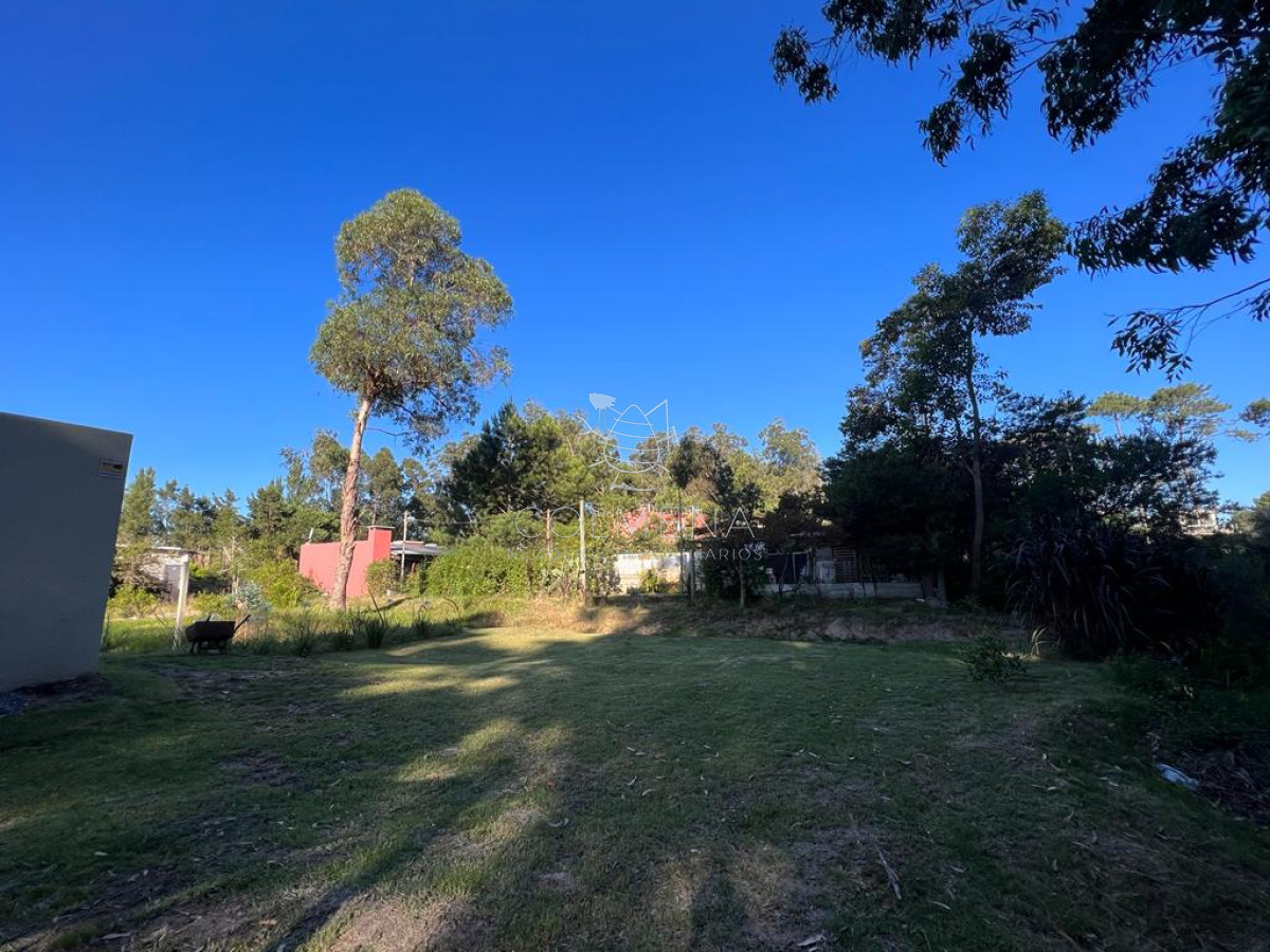 Ocean Park - GoPunta - Portal Inmobiliario de Punta del Este - Maldonado
