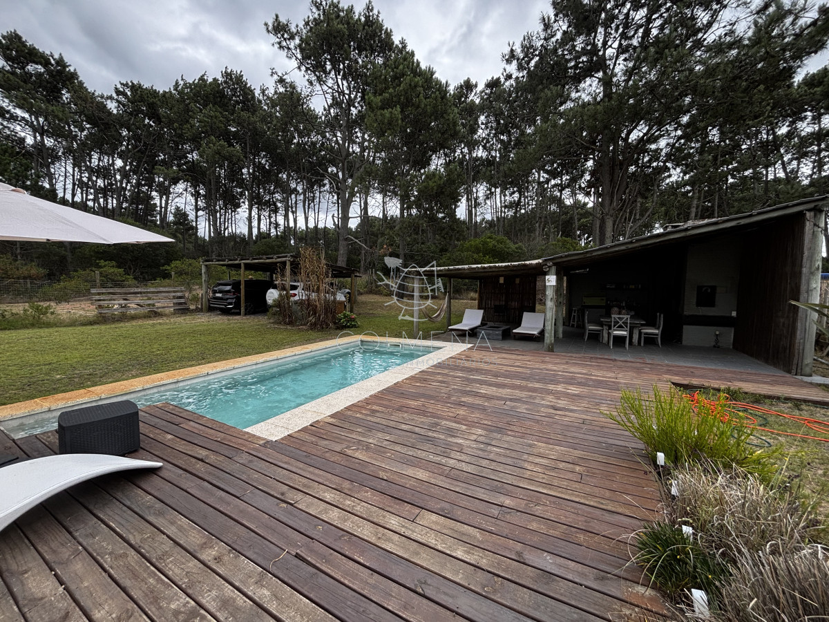 Chihuahua - GoPunta - Portal Inmobiliario de Punta del Este - Maldonado
