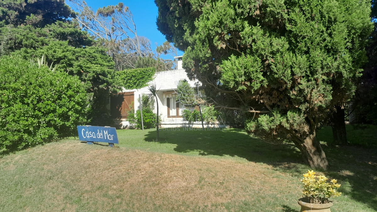 Tio Tom - GoPunta - Portal Inmobiliario de Punta del Este - Maldonado