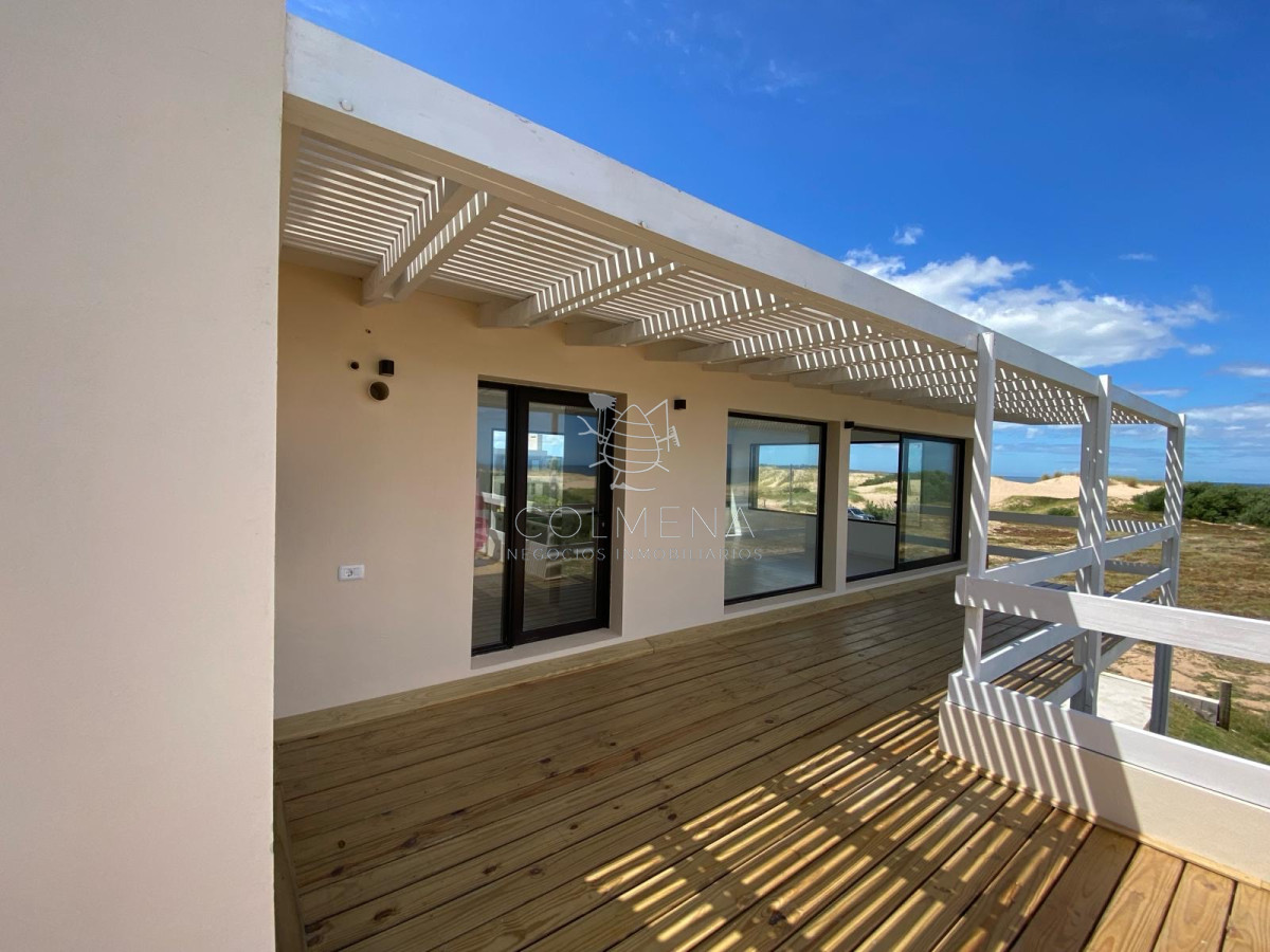 Chihuahua - GoPunta - Portal Inmobiliario de Punta del Este - Maldonado