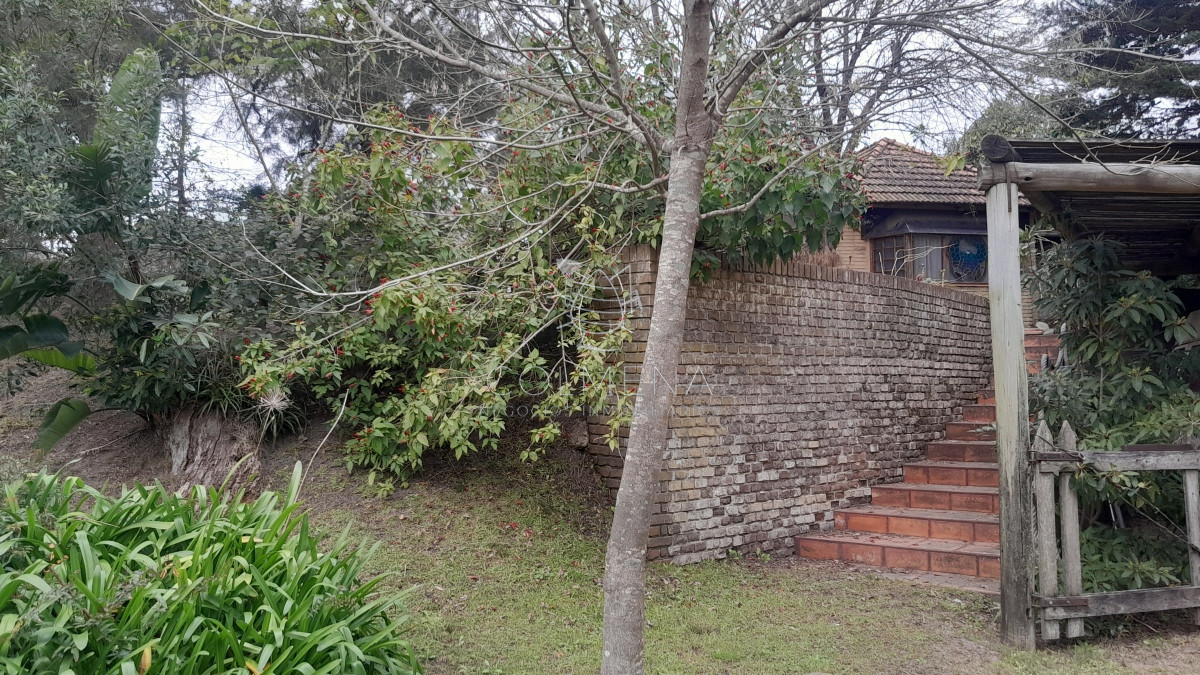 Tio Tom - GoPunta - Portal Inmobiliario de Punta del Este - Maldonado