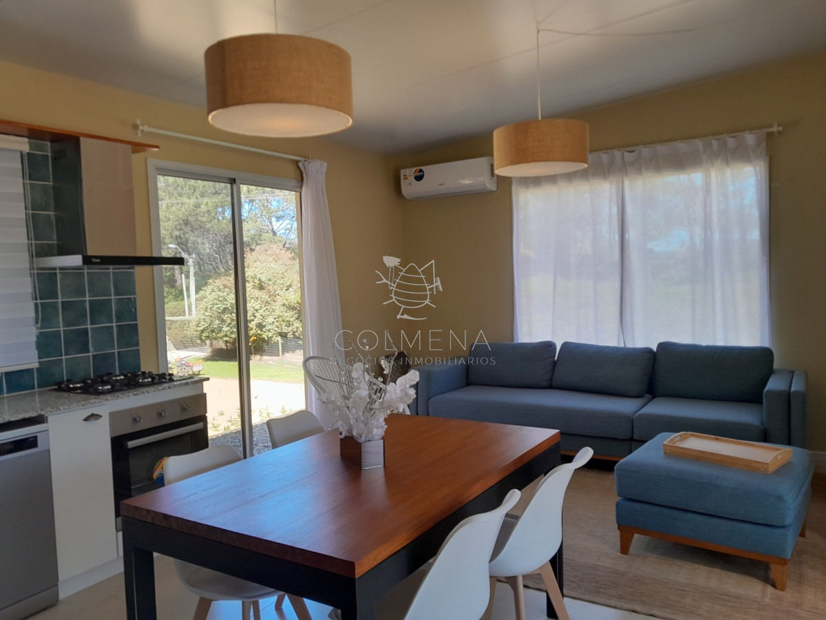 Chihuahua - GoPunta - Portal Inmobiliario de Punta del Este - Maldonado